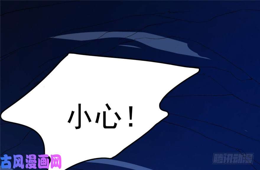 毒步天下：特工神医小兽妃28