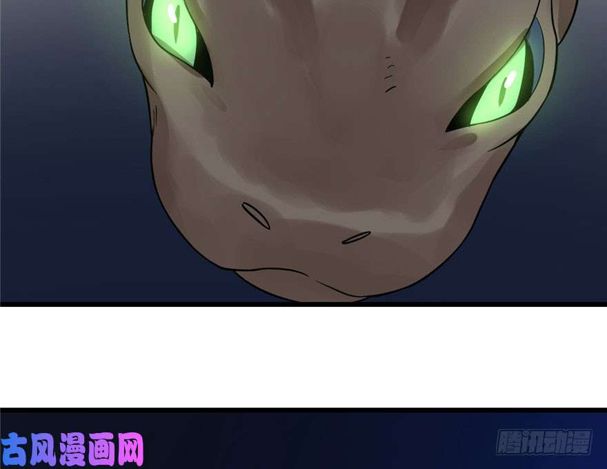 毒步天下：特工神医小兽妃28