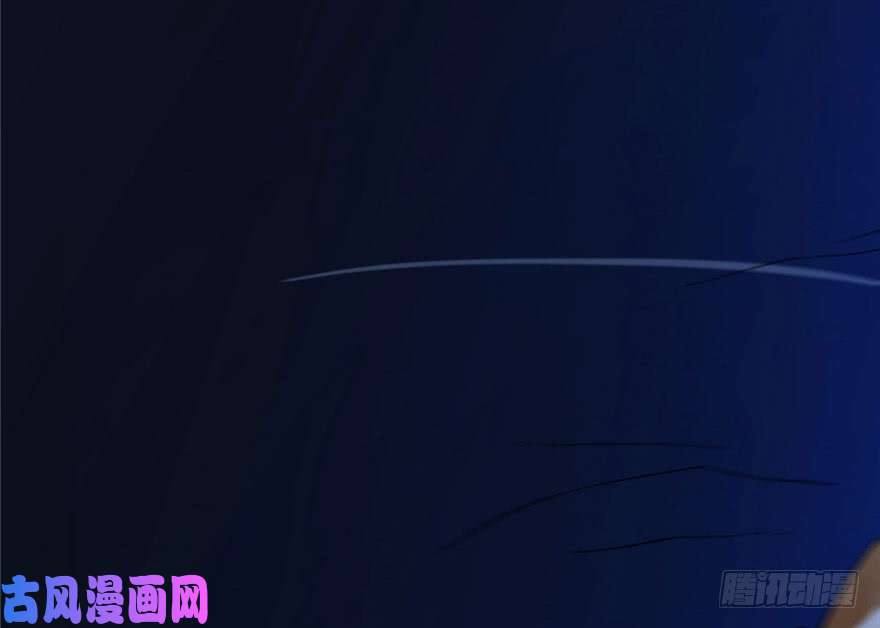 毒步天下：特工神医小兽妃28