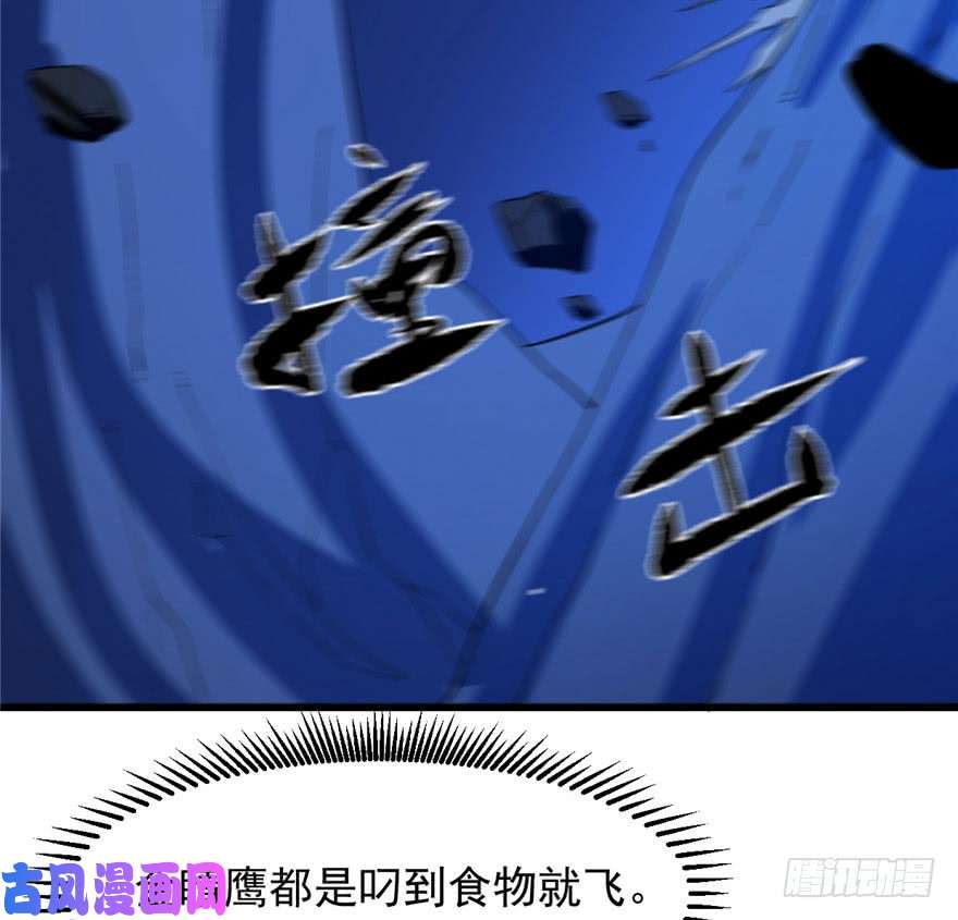 毒步天下：特工神医小兽妃28