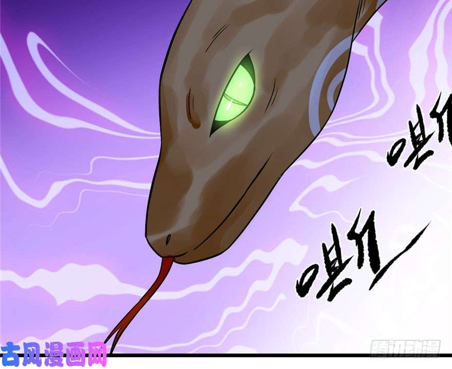 毒步天下：特工神医小兽妃28