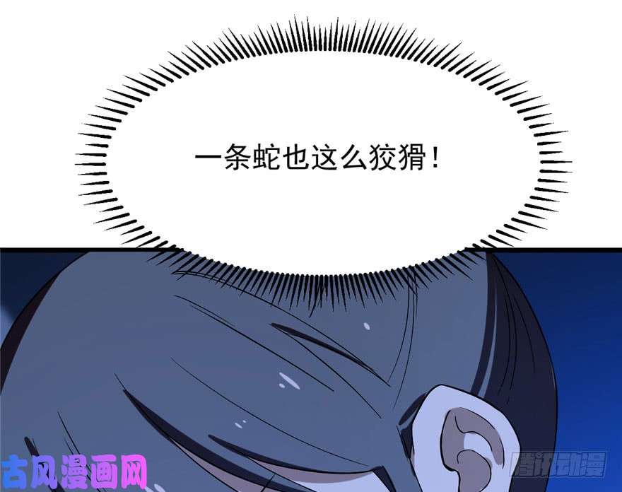 毒步天下：特工神医小兽妃28