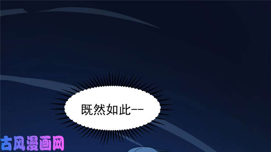 毒步天下：特工神医小兽妃28