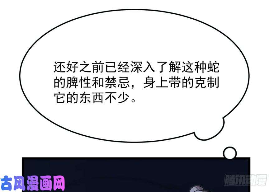 毒步天下：特工神医小兽妃28