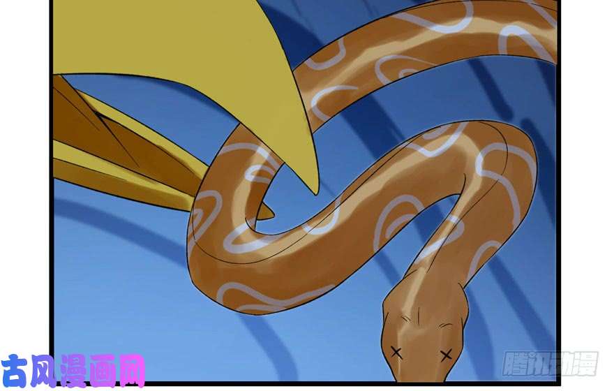 毒步天下：特工神医小兽妃28