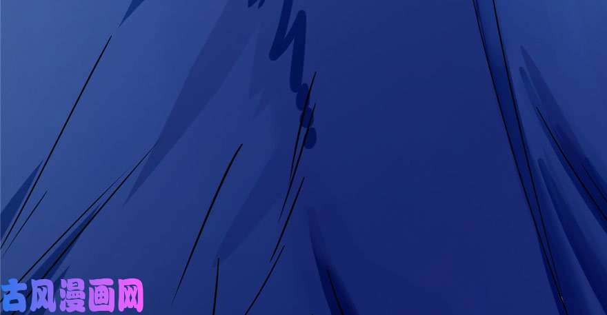 毒步天下：特工神医小兽妃28