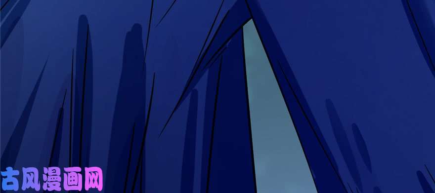 毒步天下：特工神医小兽妃28