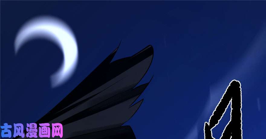 毒步天下：特工神医小兽妃28