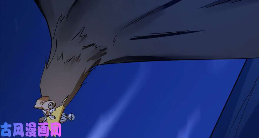 毒步天下：特工神医小兽妃28