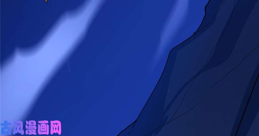 毒步天下：特工神医小兽妃28