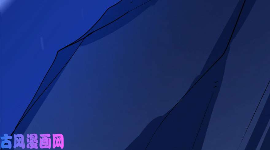 毒步天下：特工神医小兽妃28