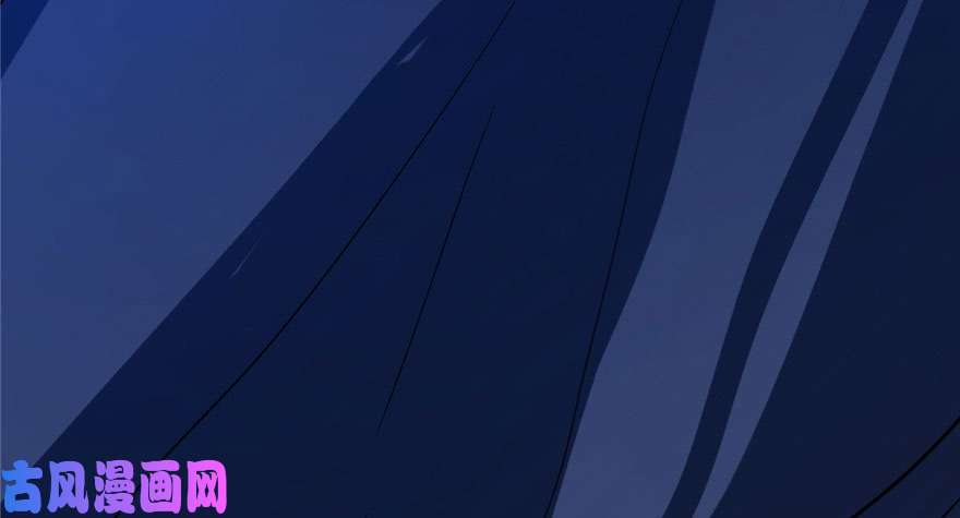 毒步天下：特工神医小兽妃28