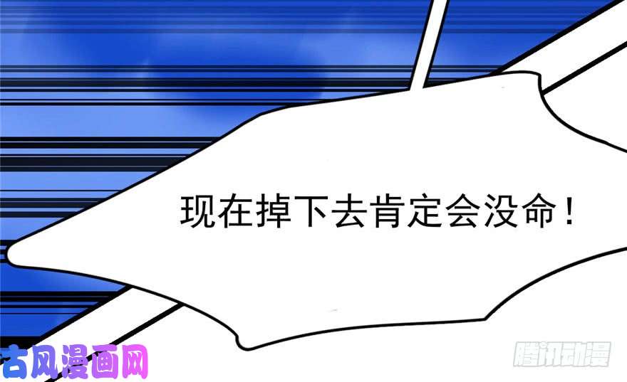 毒步天下：特工神医小兽妃28