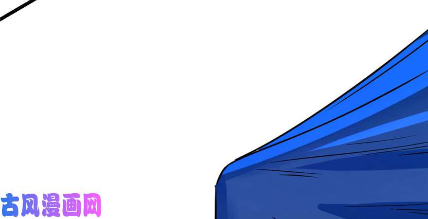 毒步天下：特工神医小兽妃28