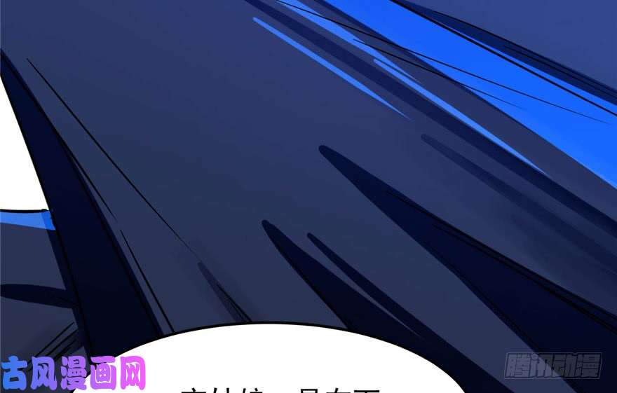 毒步天下：特工神医小兽妃28