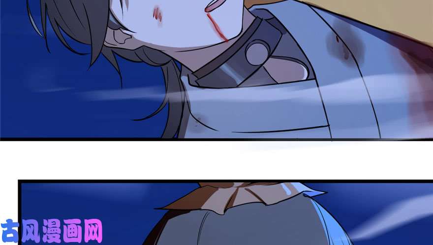 毒步天下：特工神医小兽妃28