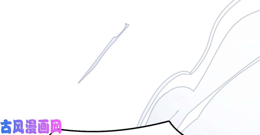 毒步天下：特工神医小兽妃28