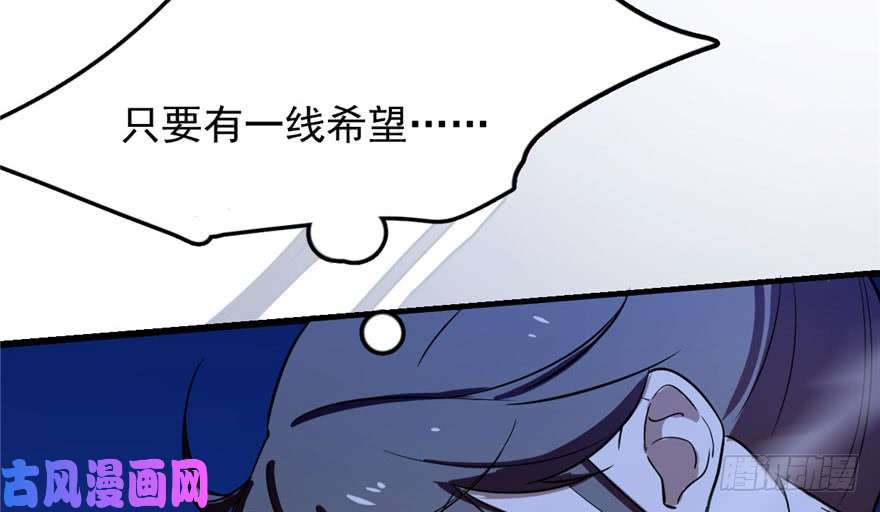 毒步天下：特工神医小兽妃28