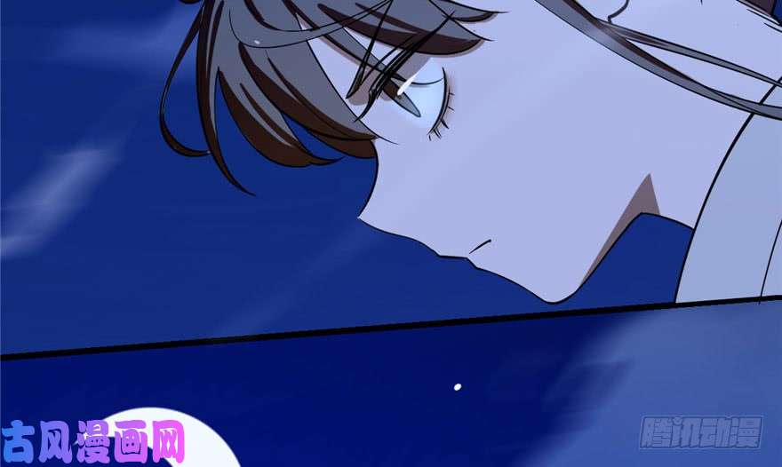 毒步天下：特工神医小兽妃28