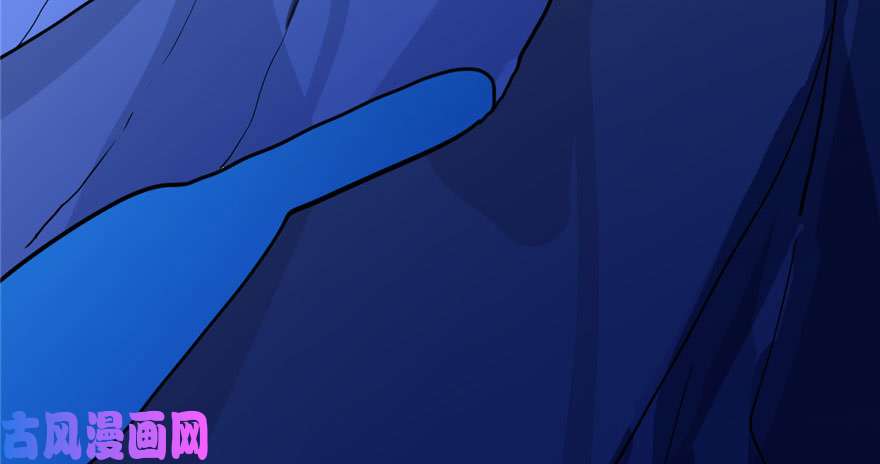 毒步天下：特工神医小兽妃28