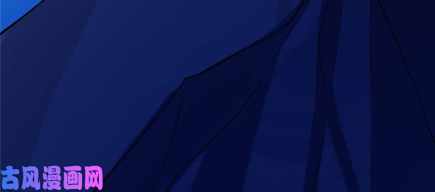 毒步天下：特工神医小兽妃28