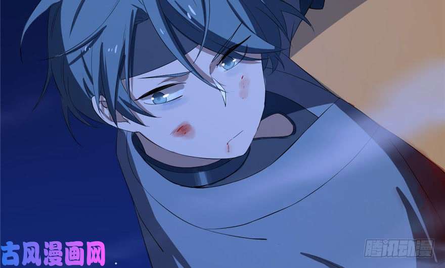 毒步天下：特工神医小兽妃29