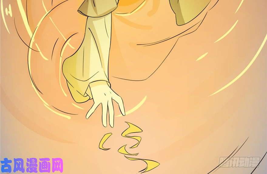 毒步天下：特工神医小兽妃29