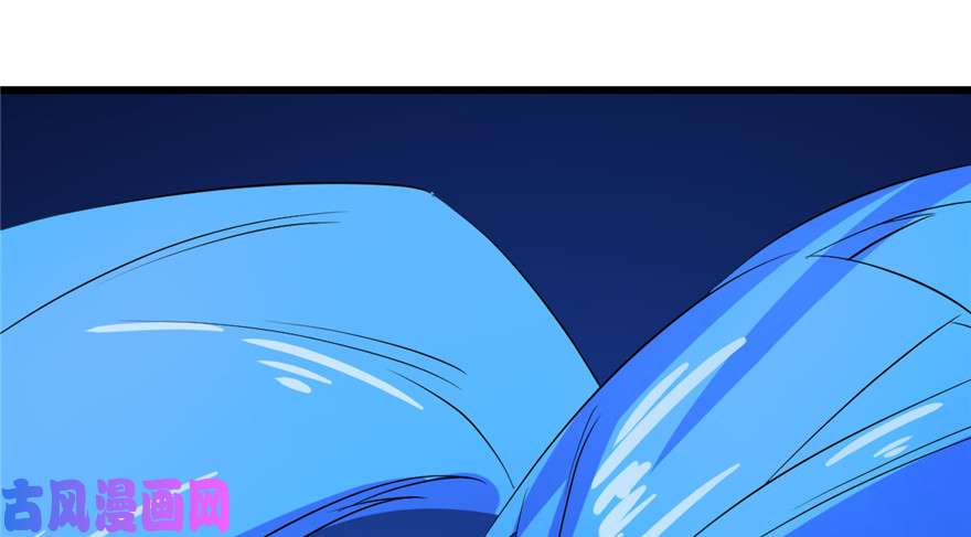 毒步天下：特工神医小兽妃29