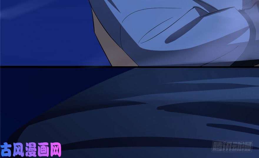 毒步天下：特工神医小兽妃29