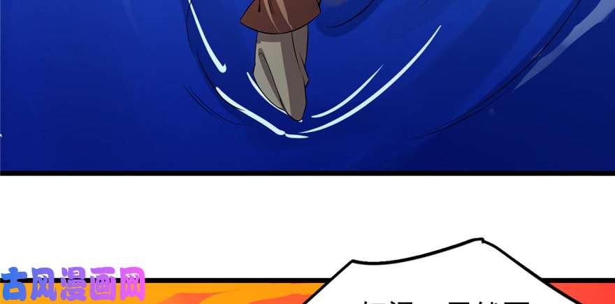 毒步天下：特工神医小兽妃29