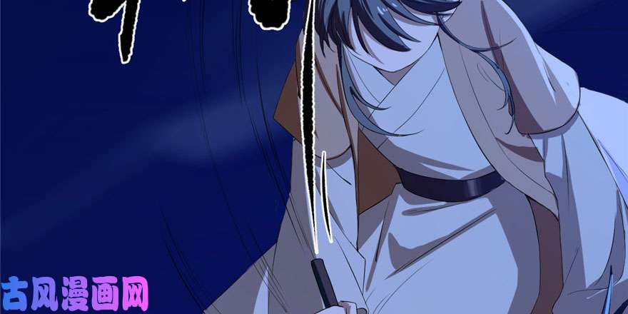 毒步天下：特工神医小兽妃29