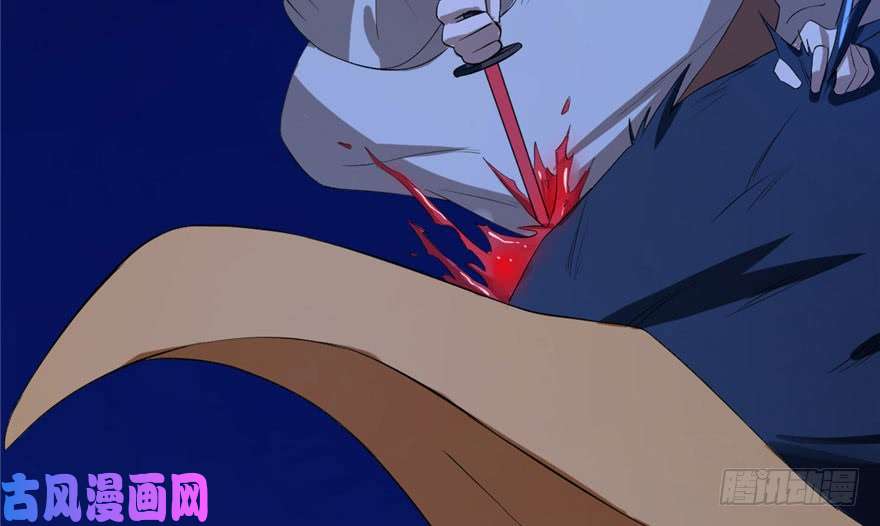 毒步天下：特工神医小兽妃29