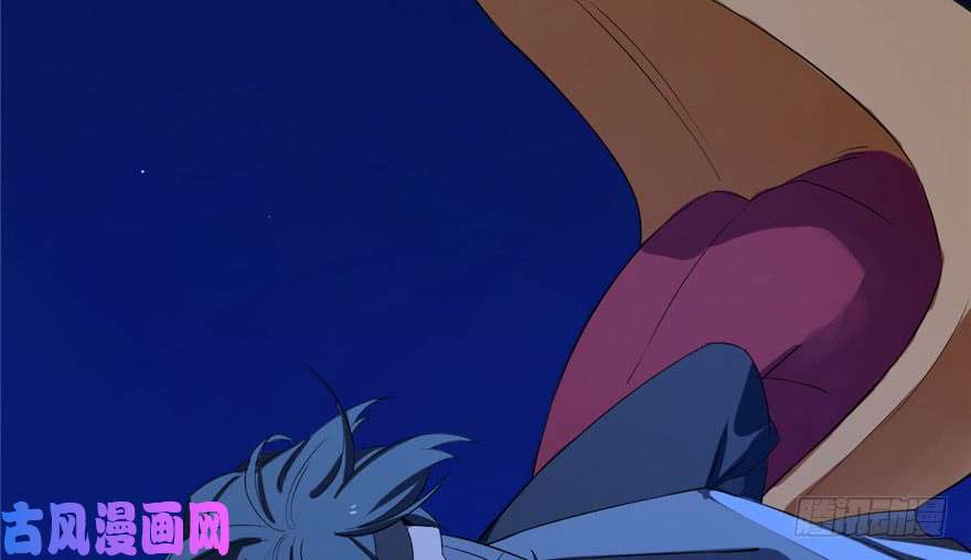 毒步天下：特工神医小兽妃29