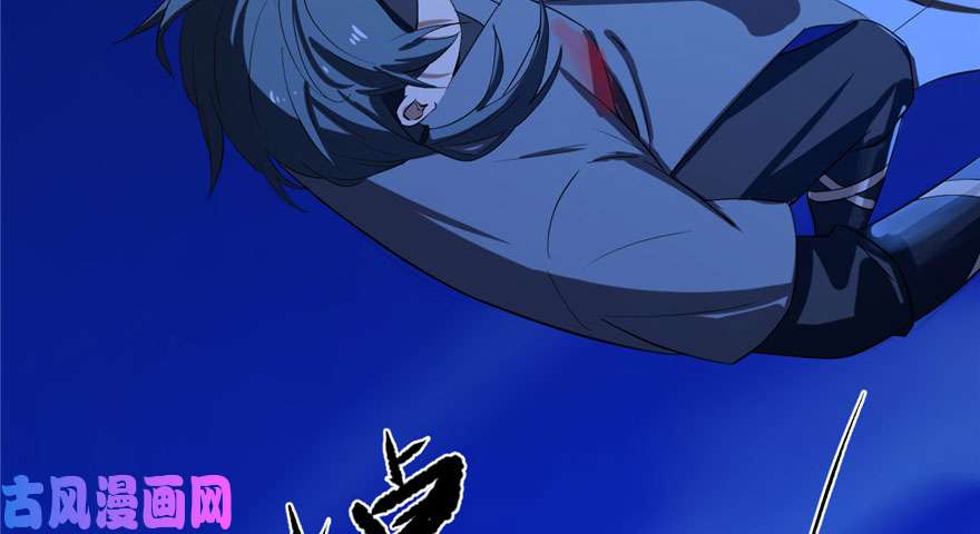 毒步天下：特工神医小兽妃29