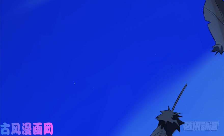 毒步天下：特工神医小兽妃29