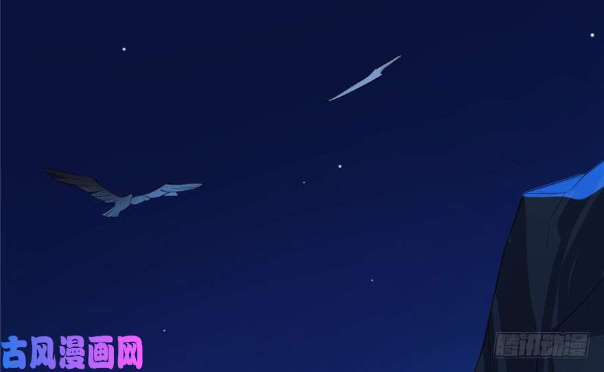 毒步天下：特工神医小兽妃29