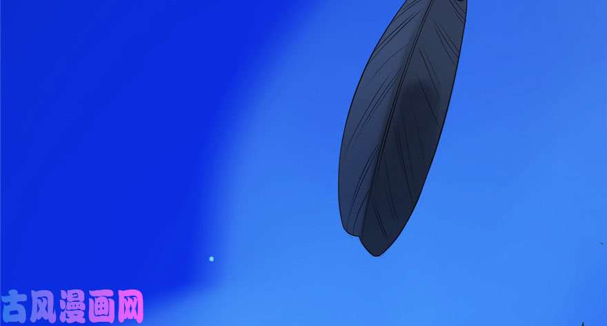 毒步天下：特工神医小兽妃29