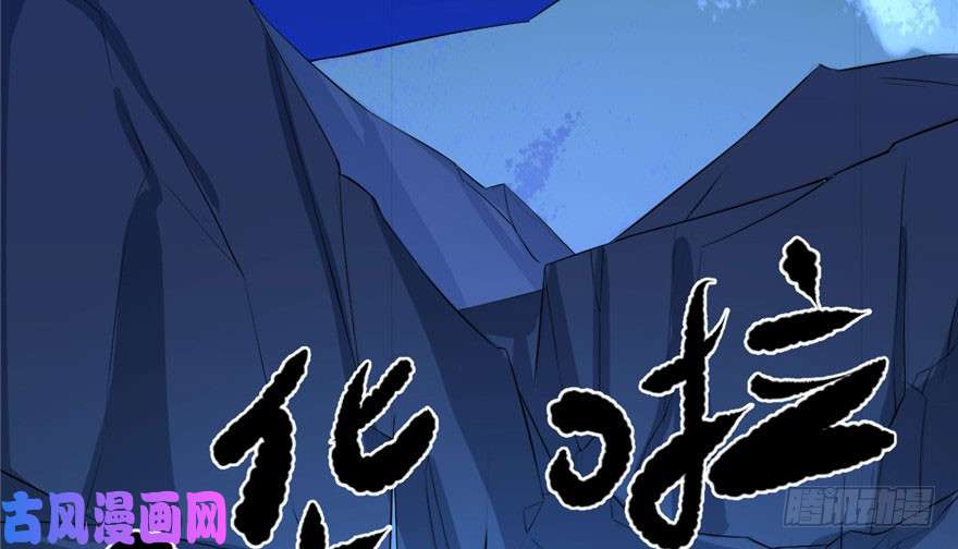 毒步天下：特工神医小兽妃29