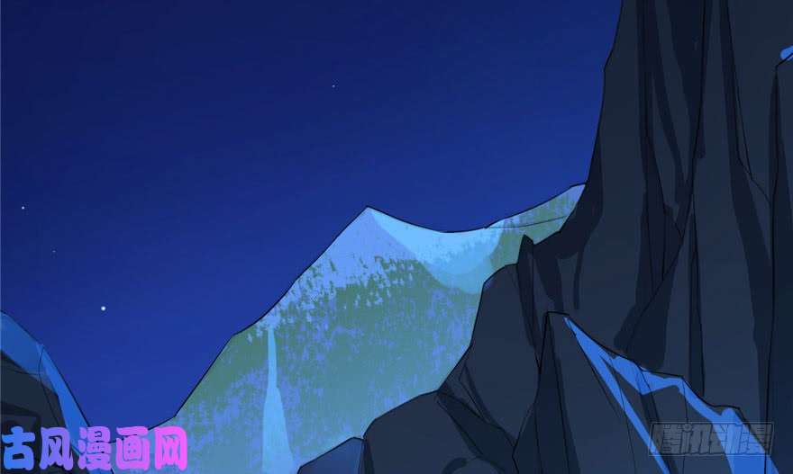 毒步天下：特工神医小兽妃29