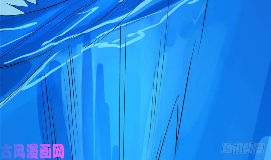 毒步天下：特工神医小兽妃29