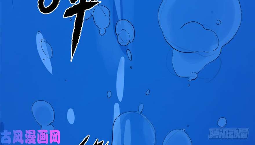 毒步天下：特工神医小兽妃29