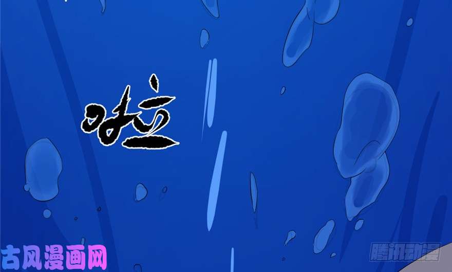 毒步天下：特工神医小兽妃29