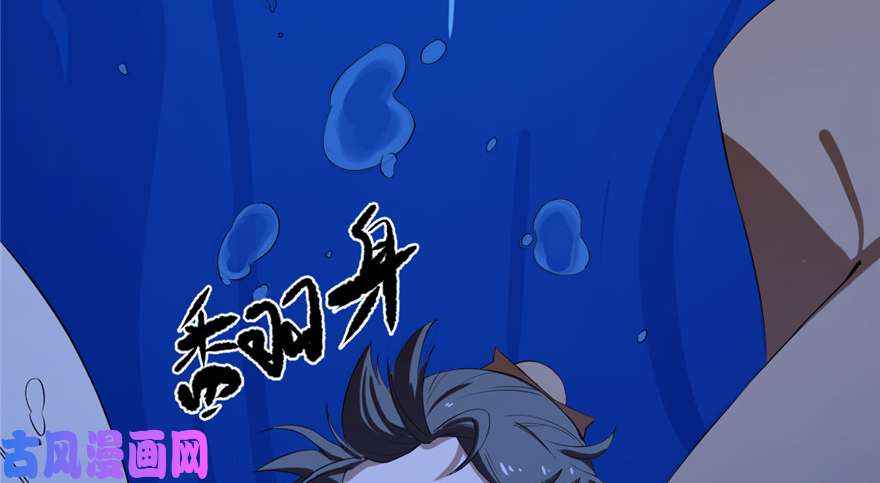 毒步天下：特工神医小兽妃29