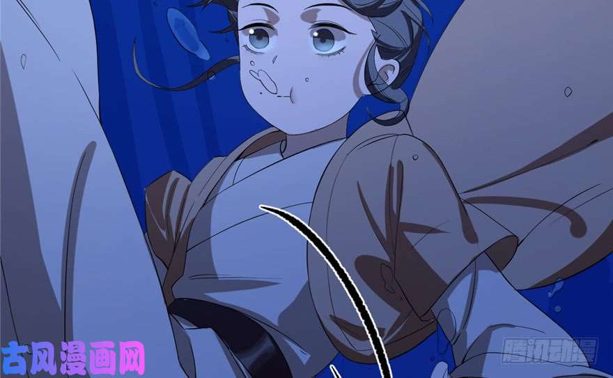 毒步天下：特工神医小兽妃29