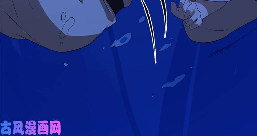 毒步天下：特工神医小兽妃29