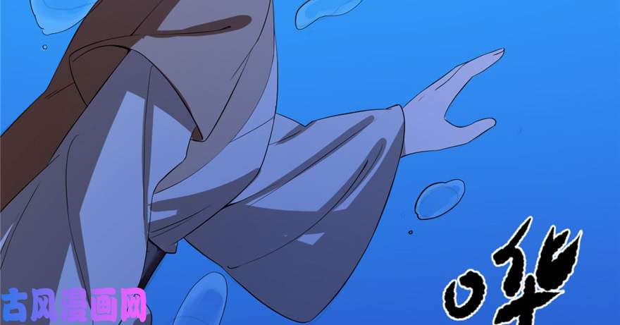 毒步天下：特工神医小兽妃29