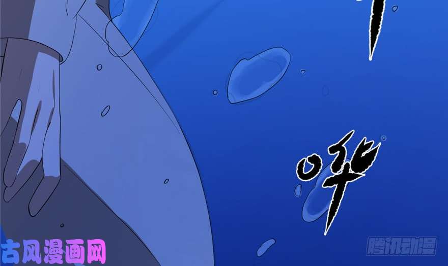 毒步天下：特工神医小兽妃29