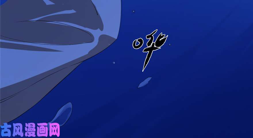 毒步天下：特工神医小兽妃29