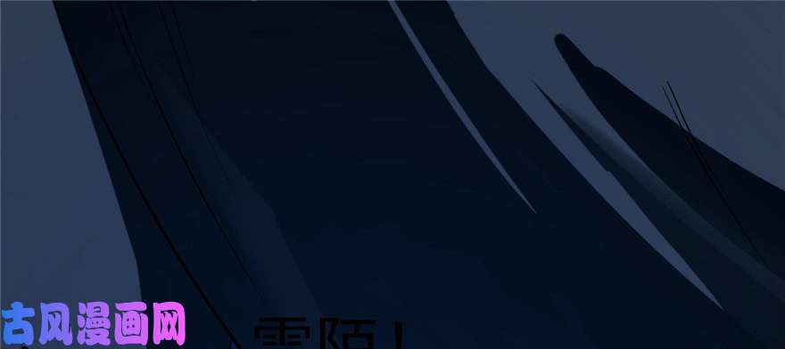 毒步天下：特工神医小兽妃29