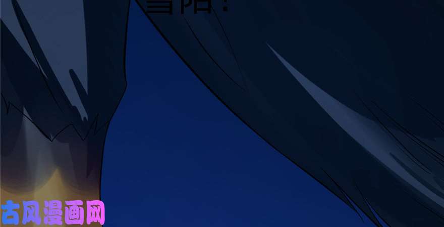 毒步天下：特工神医小兽妃29